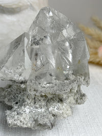 MOTHER - RARE Statement Garden Lemurian Cluster Specimen (STAR COLLECTION)