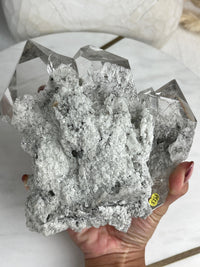 MARY - RARE Statement Garden Lemurian Cluster Specimen (STAR COLLECTION)