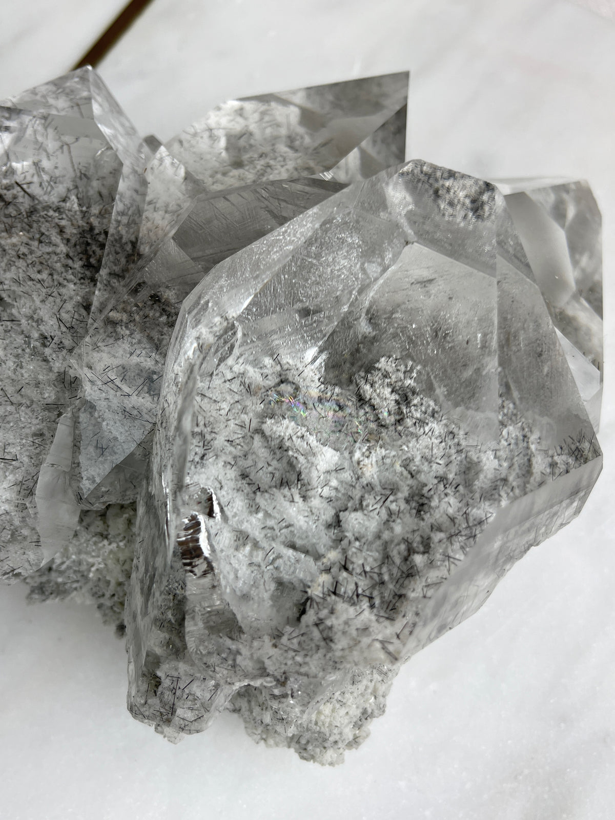 MARY - RARE Statement Garden Lemurian Cluster Specimen (STAR COLLECTION)