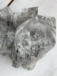 MARY - RARE Statement Garden Lemurian Cluster Specimen (STAR COLLECTION)