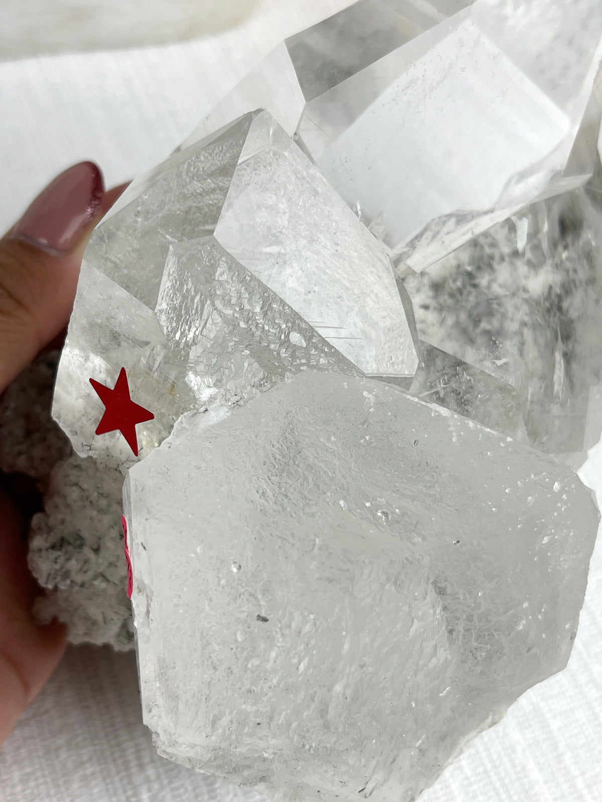 MOTHER - RARE Statement Garden Lemurian Cluster Specimen (STAR COLLECTION)