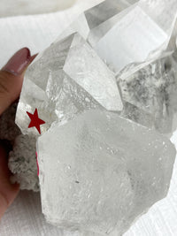 MOTHER - RARE Statement Garden Lemurian Cluster Specimen (STAR COLLECTION)