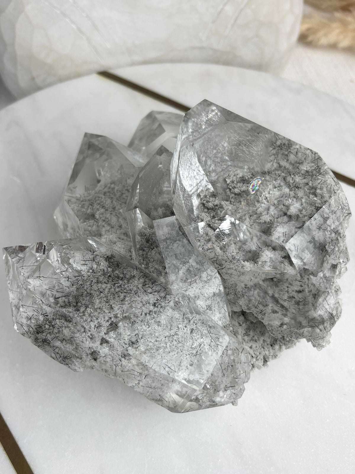 MARY - RARE Statement Garden Lemurian Cluster Specimen (STAR COLLECTION)