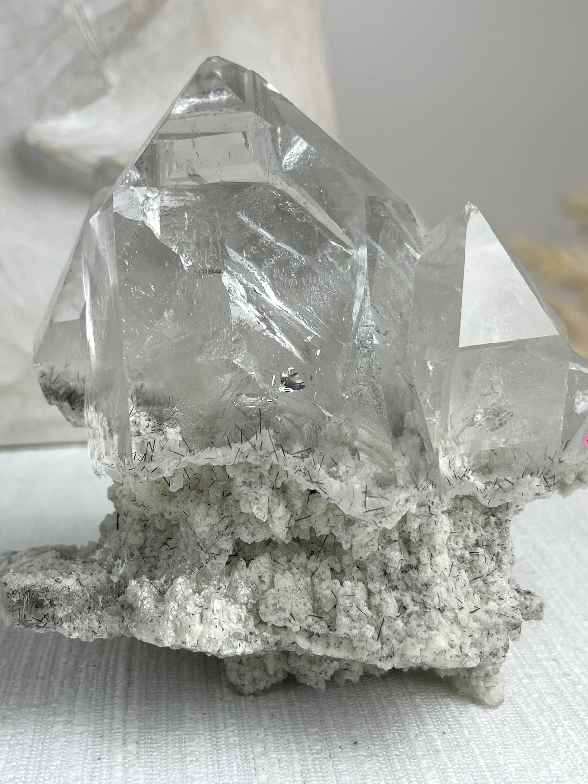 MOTHER - RARE Statement Garden Lemurian Cluster Specimen (STAR COLLECTION)