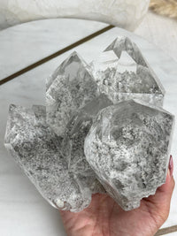 MARY - RARE Statement Garden Lemurian Cluster Specimen (STAR COLLECTION)