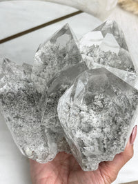 MARY - RARE Statement Garden Lemurian Cluster Specimen (STAR COLLECTION)