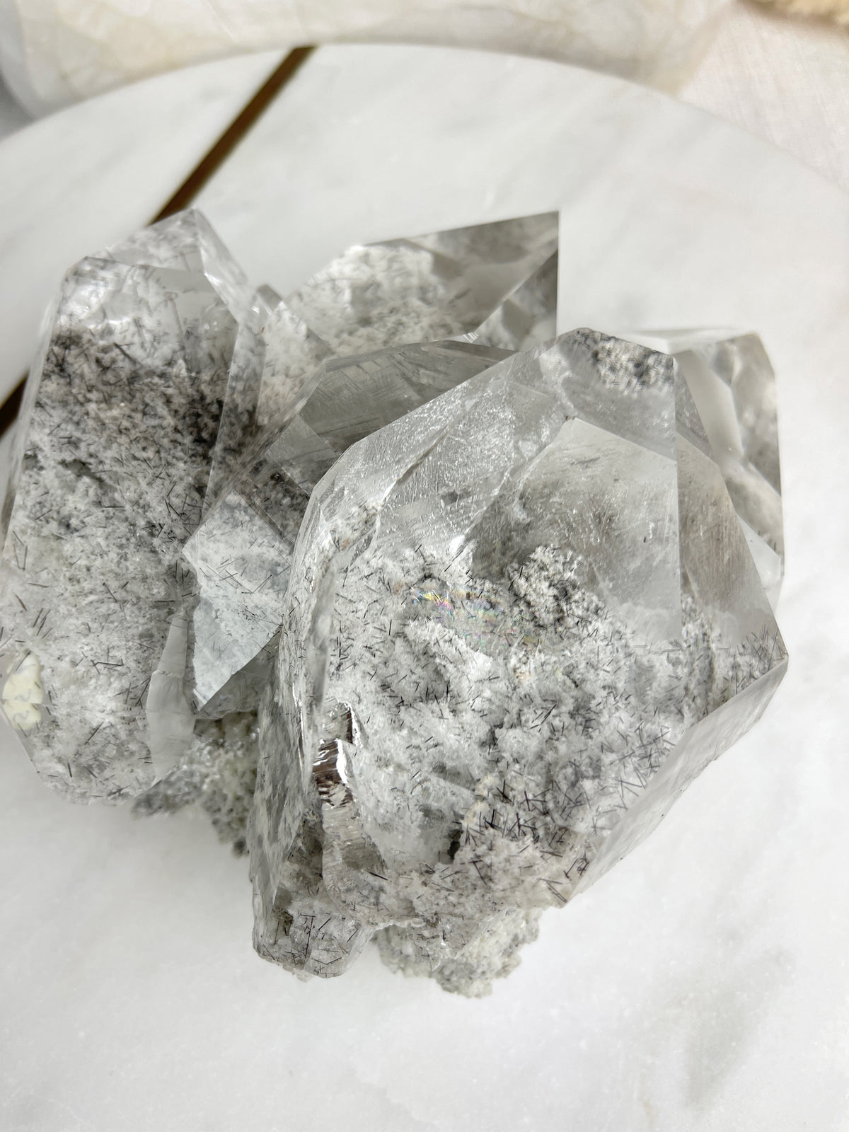 MARY - RARE Statement Garden Lemurian Cluster Specimen (STAR COLLECTION)