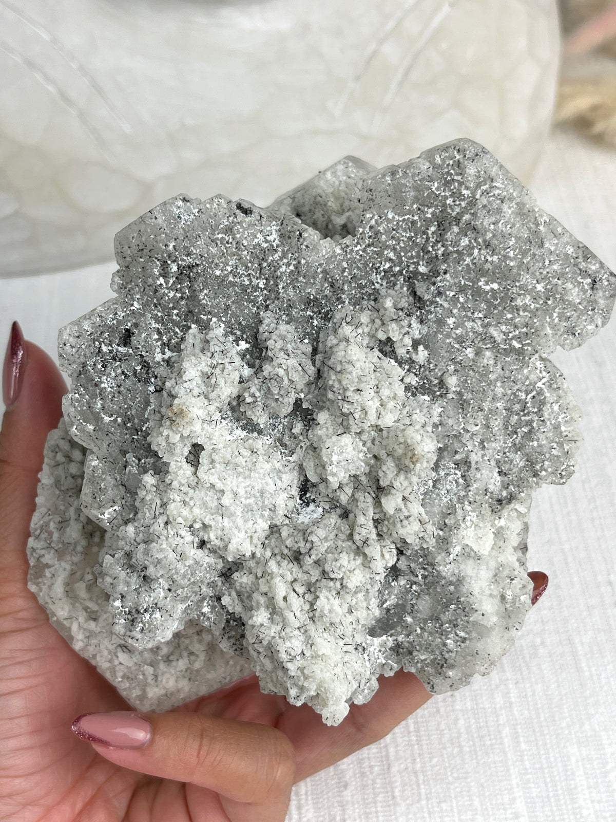 MOTHER - RARE Statement Garden Lemurian Cluster Specimen (STAR COLLECTION)