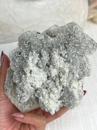 MOTHER - RARE Statement Garden Lemurian Cluster Specimen (STAR COLLECTION)