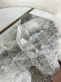 MARY - RARE Statement Garden Lemurian Cluster Specimen (STAR COLLECTION)